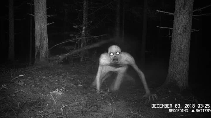 Legend Of The Skinwalker thumbnail