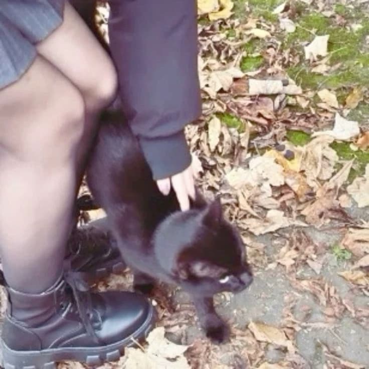 ??? thumbnail