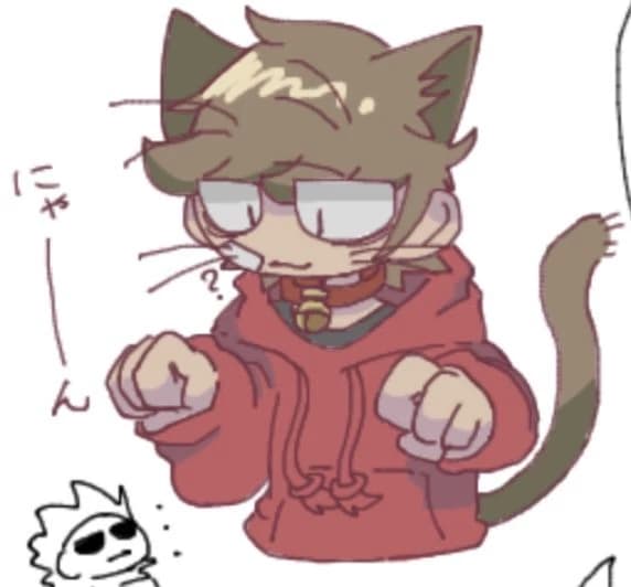 Tord gato  thumbnail