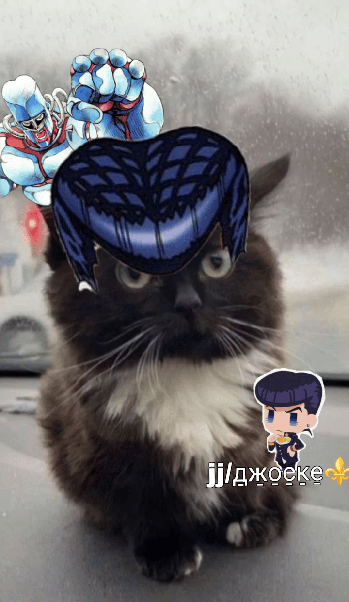 Джоске котик thumbnail