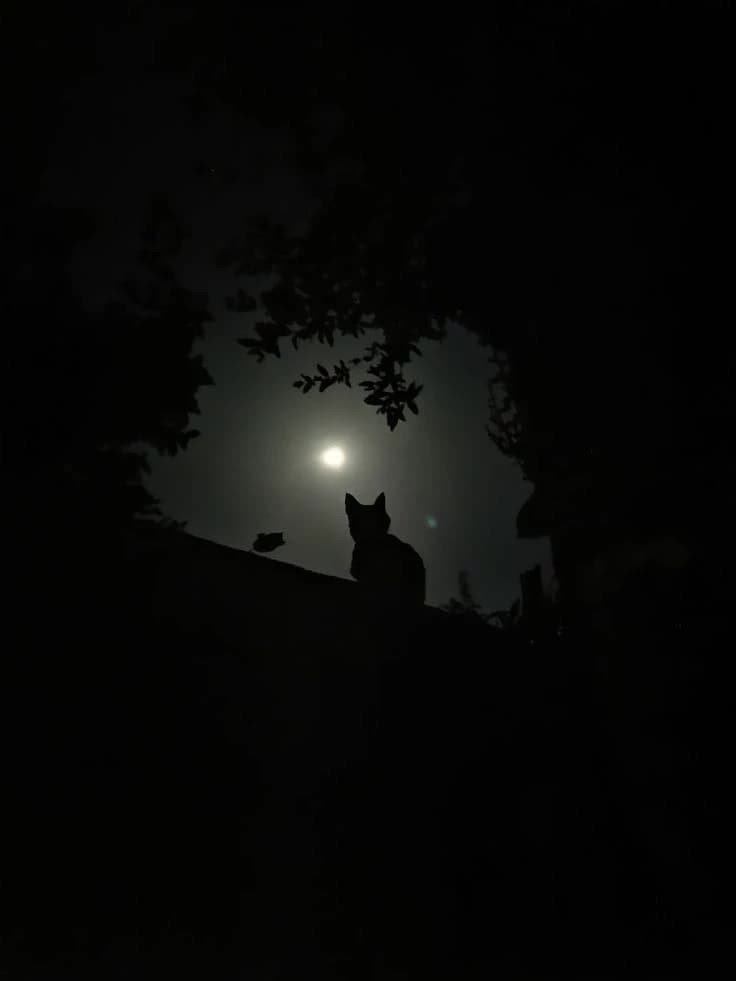Werebeasts thumbnail