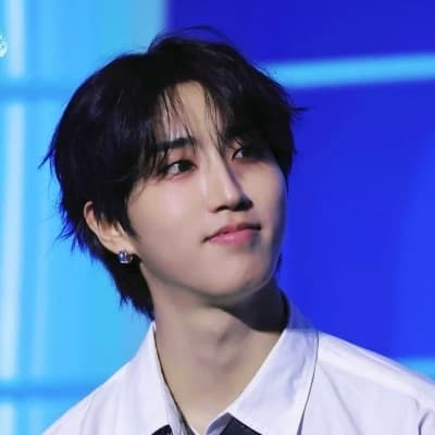 Han Jisung  thumbnail