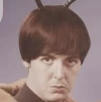 PAUL (hes gone crazy) thumbnail