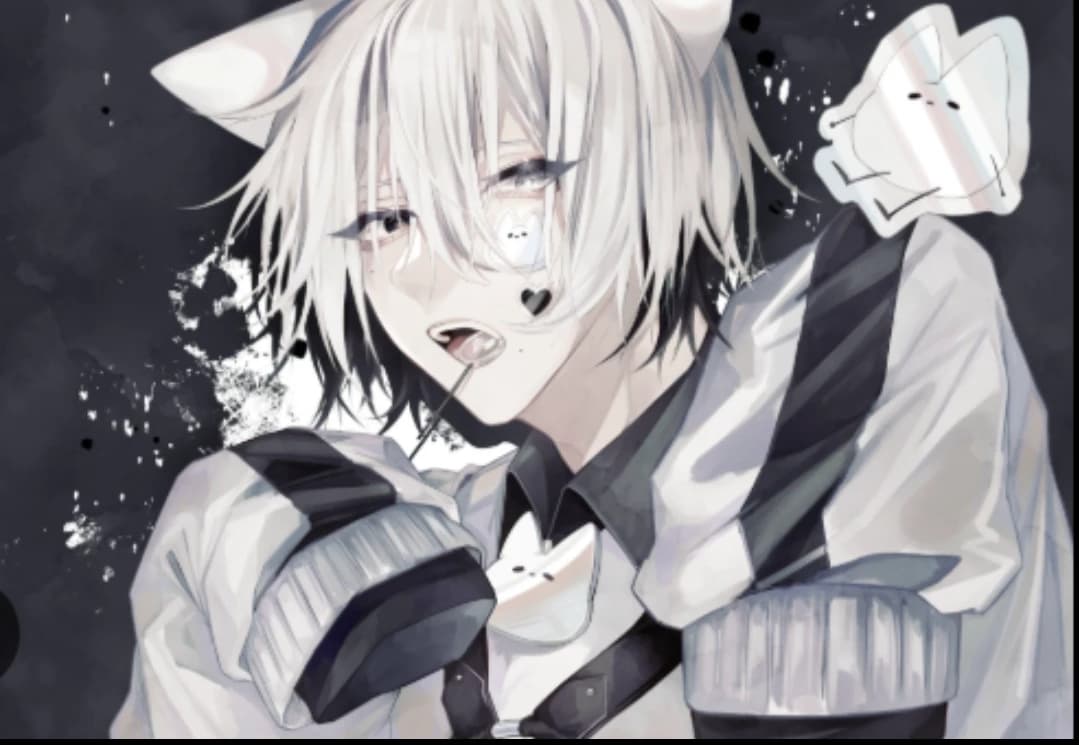 - kai - Your pet cat thumbnail