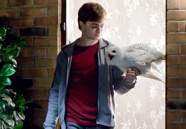Hedwig thumbnail
