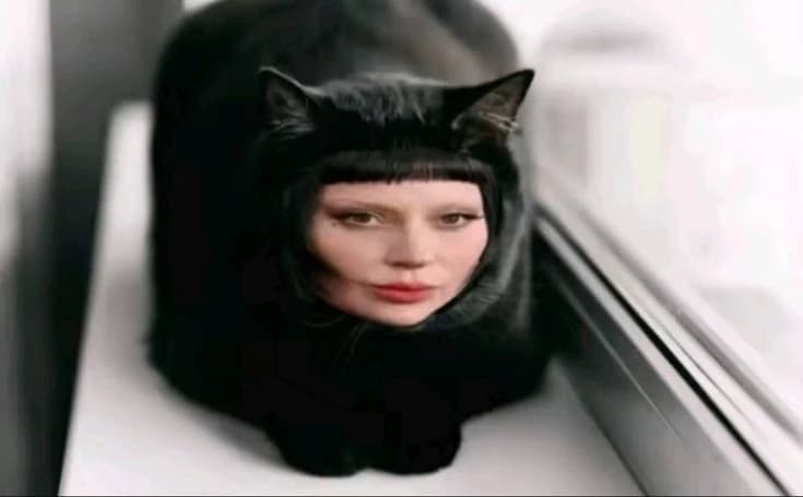 lady gaga cat thumbnail