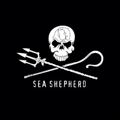 Sea Shelpherd thumbnail