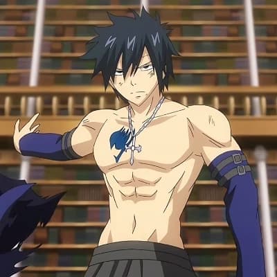 Gray Fullbuster thumbnail