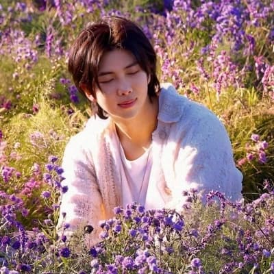 Kim Nam-Joon thumbnail