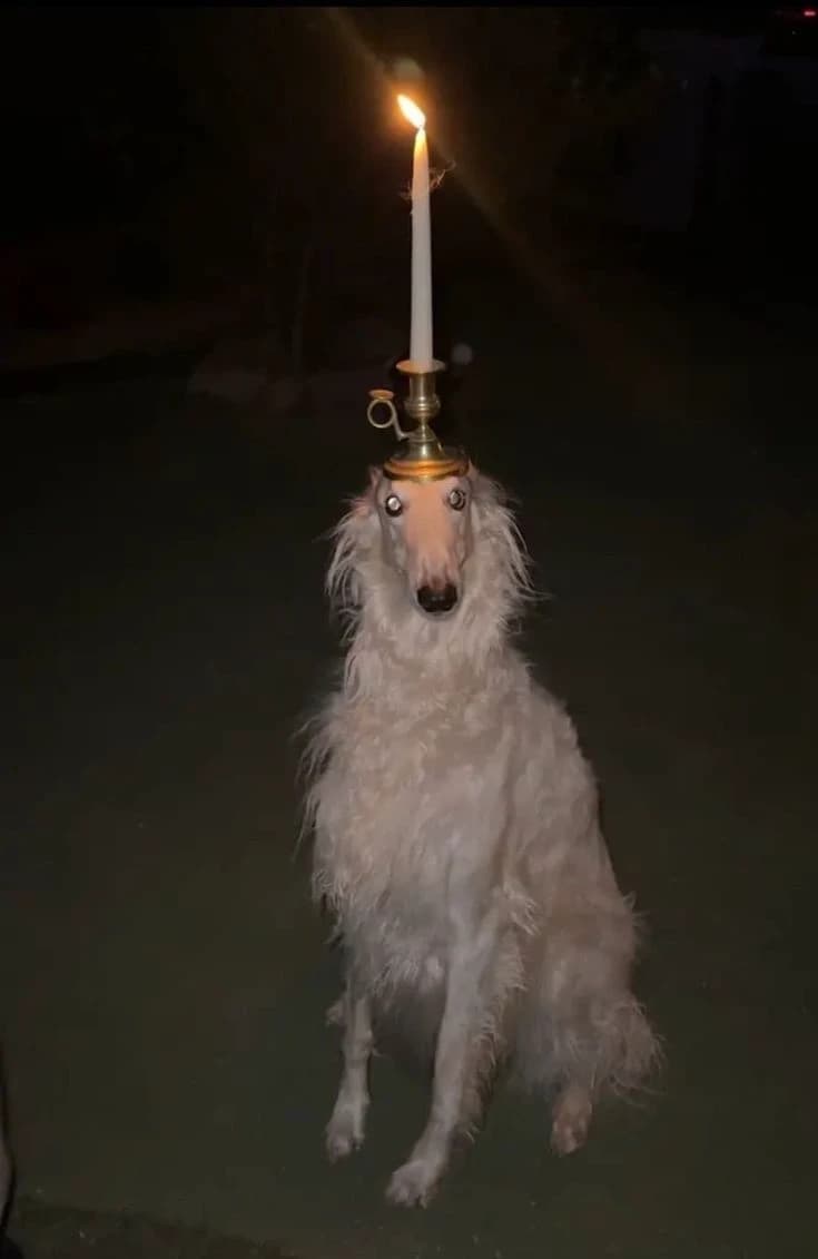 Cult of the lamb thumbnail