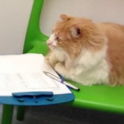 Tiger psychologist thumbnail