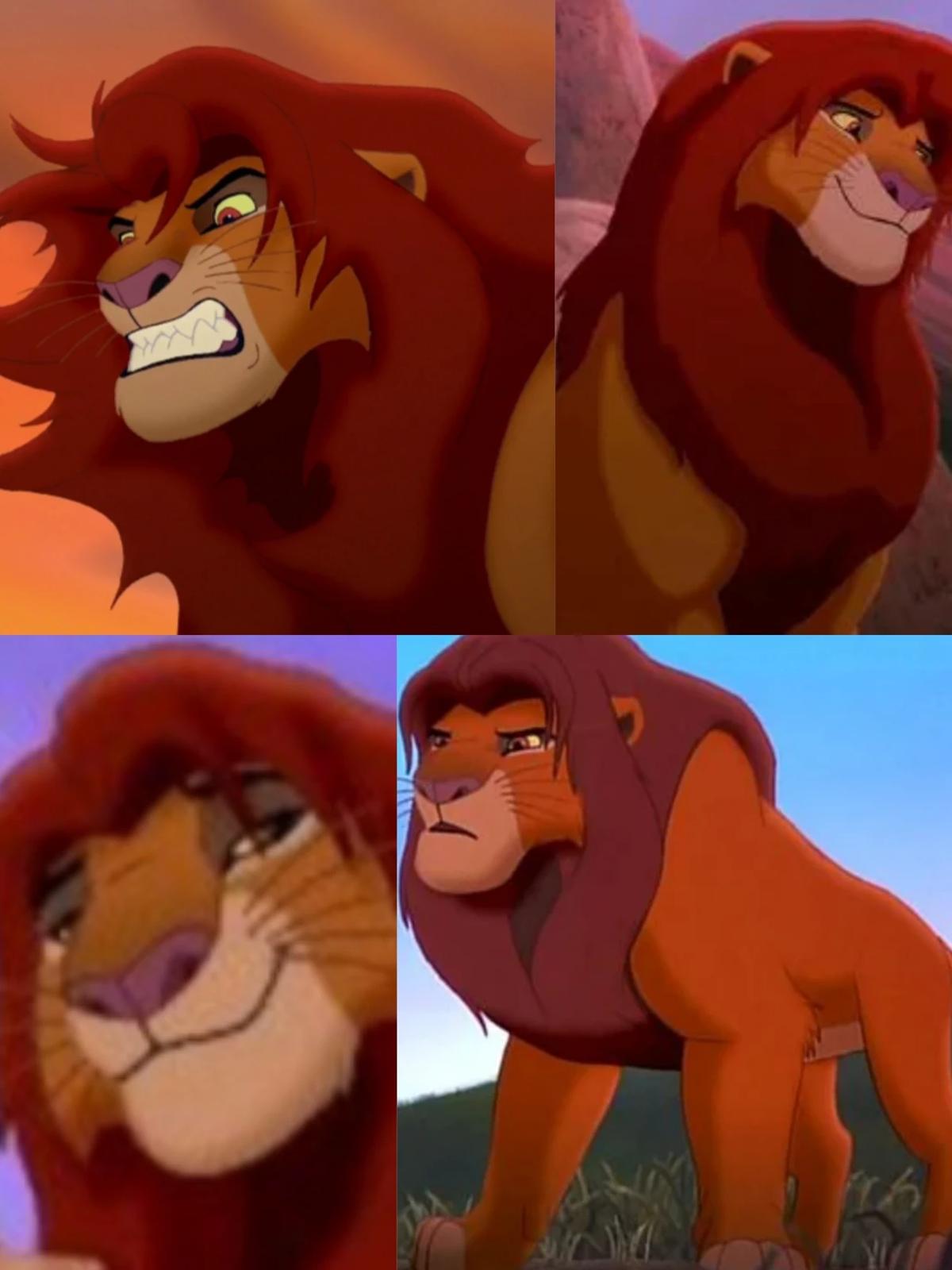 Simba(zaginiona córka? )  thumbnail