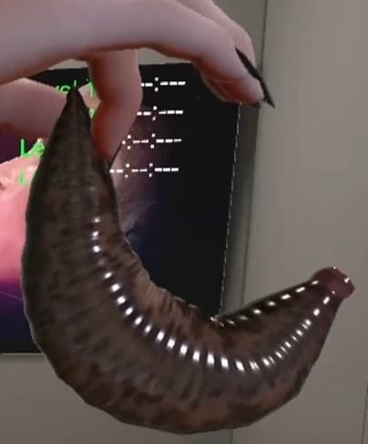 Leech thumbnail