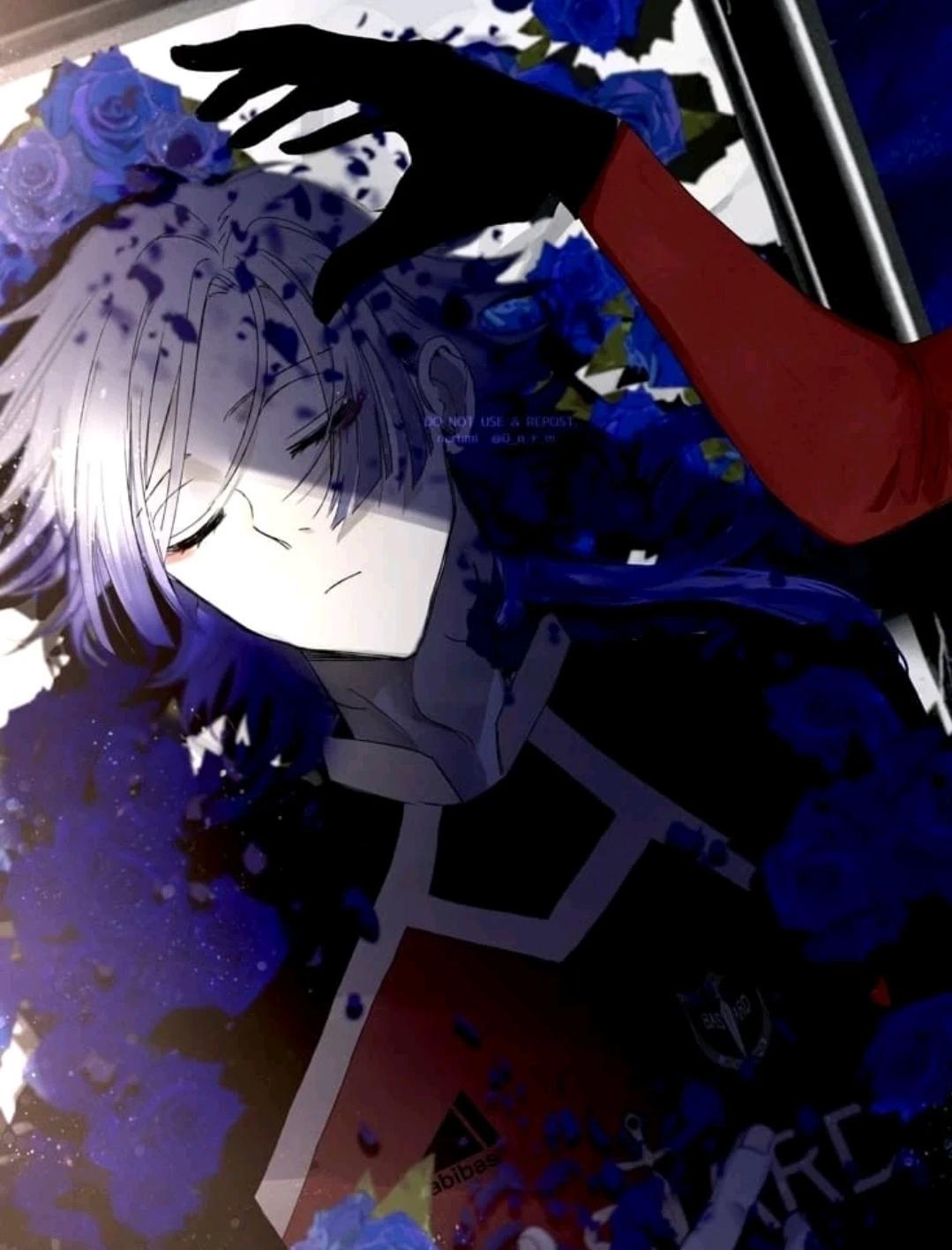 K A I N E S S — hanahaki 🥀 thumbnail