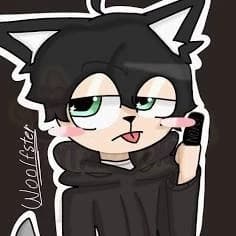 Woolfster - socksfor1 thumbnail