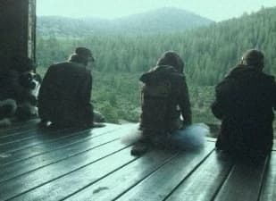 coilo - boy in the woods thumbnail