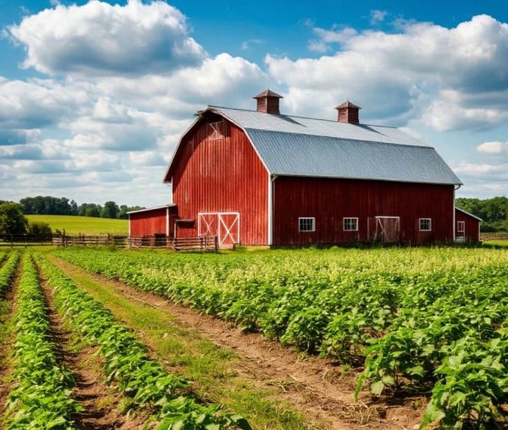 Farm Life thumbnail