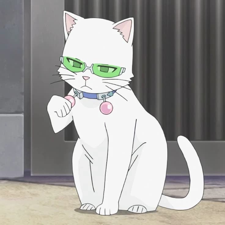Saiki k (cat)  thumbnail