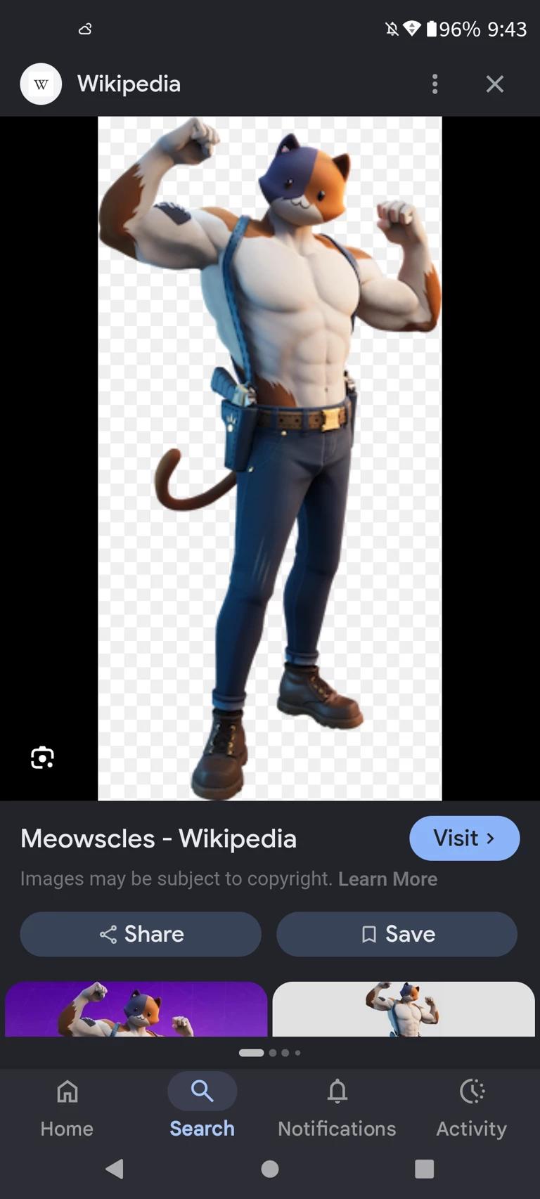 Meowscles thumbnail