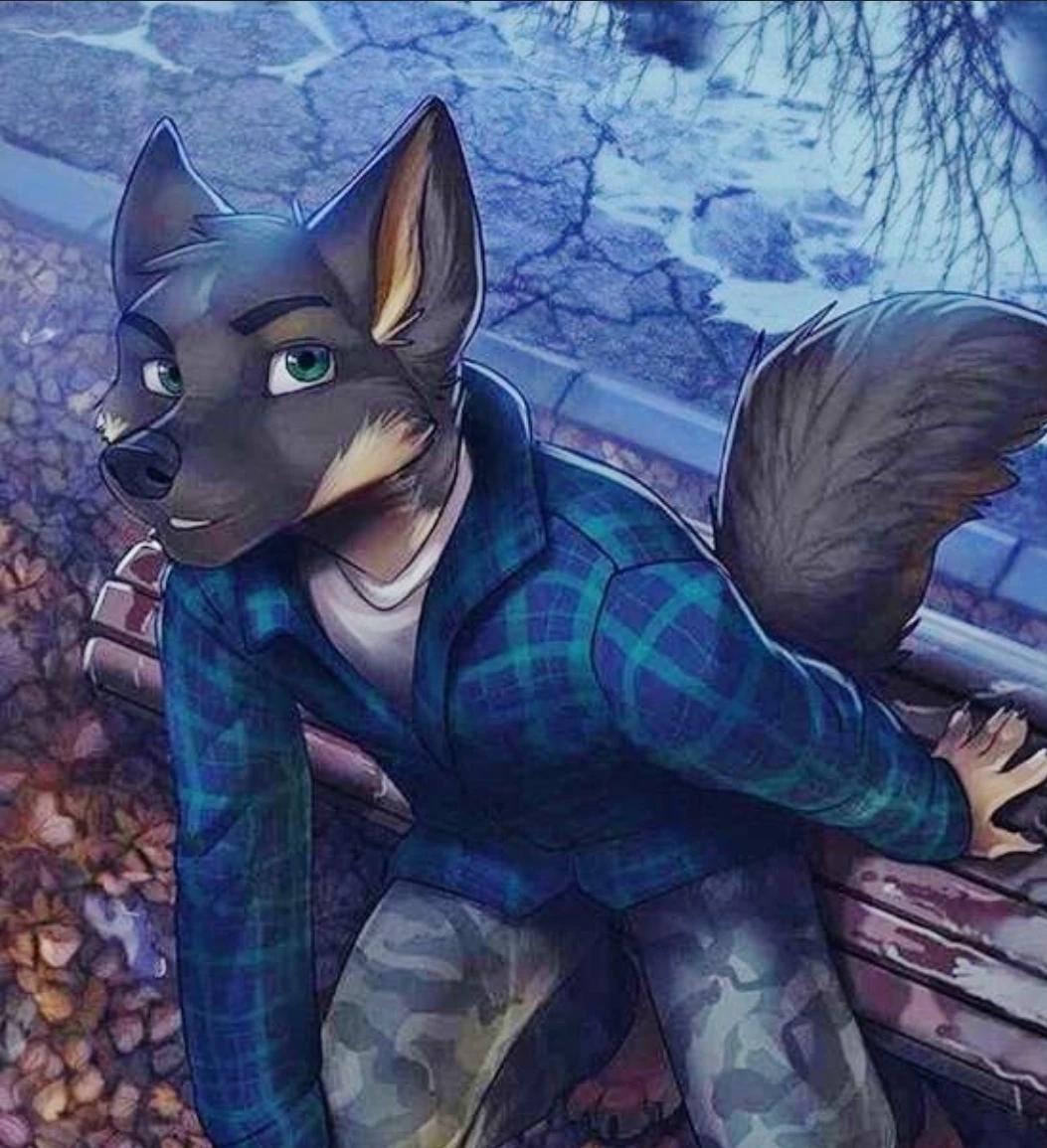 Jack thumbnail