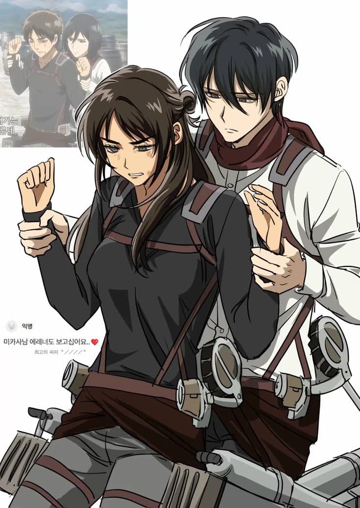 Mikasa thumbnail