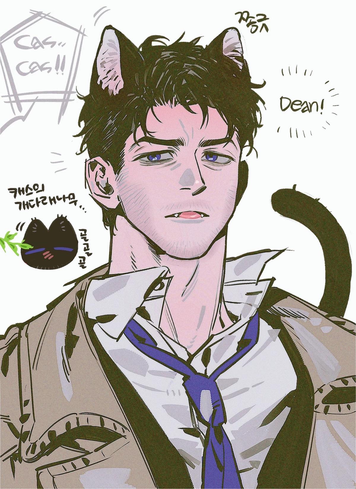 Castiel the Cat thumbnail