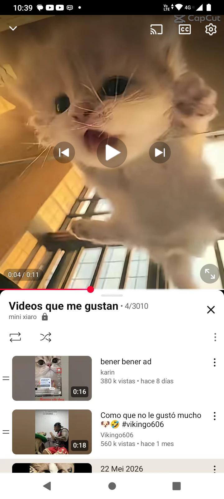 gatito lindo thumbnail