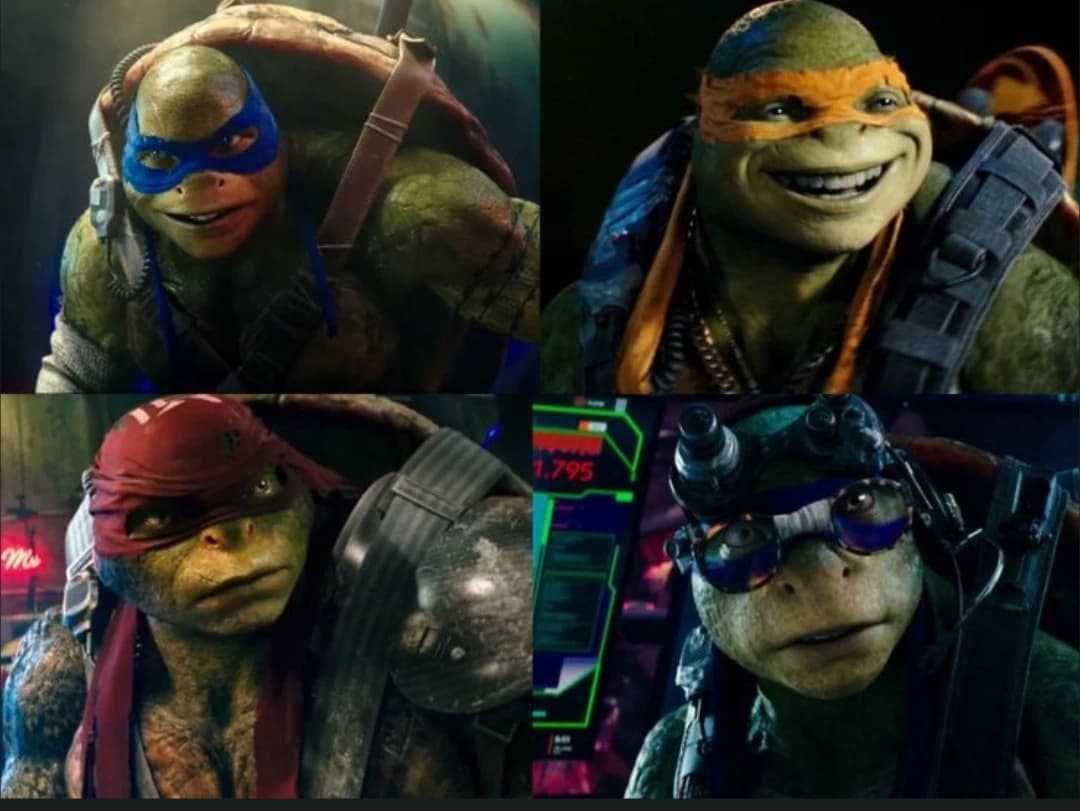 Leo, Donnie, Mikey y Rafael / Tmnt thumbnail