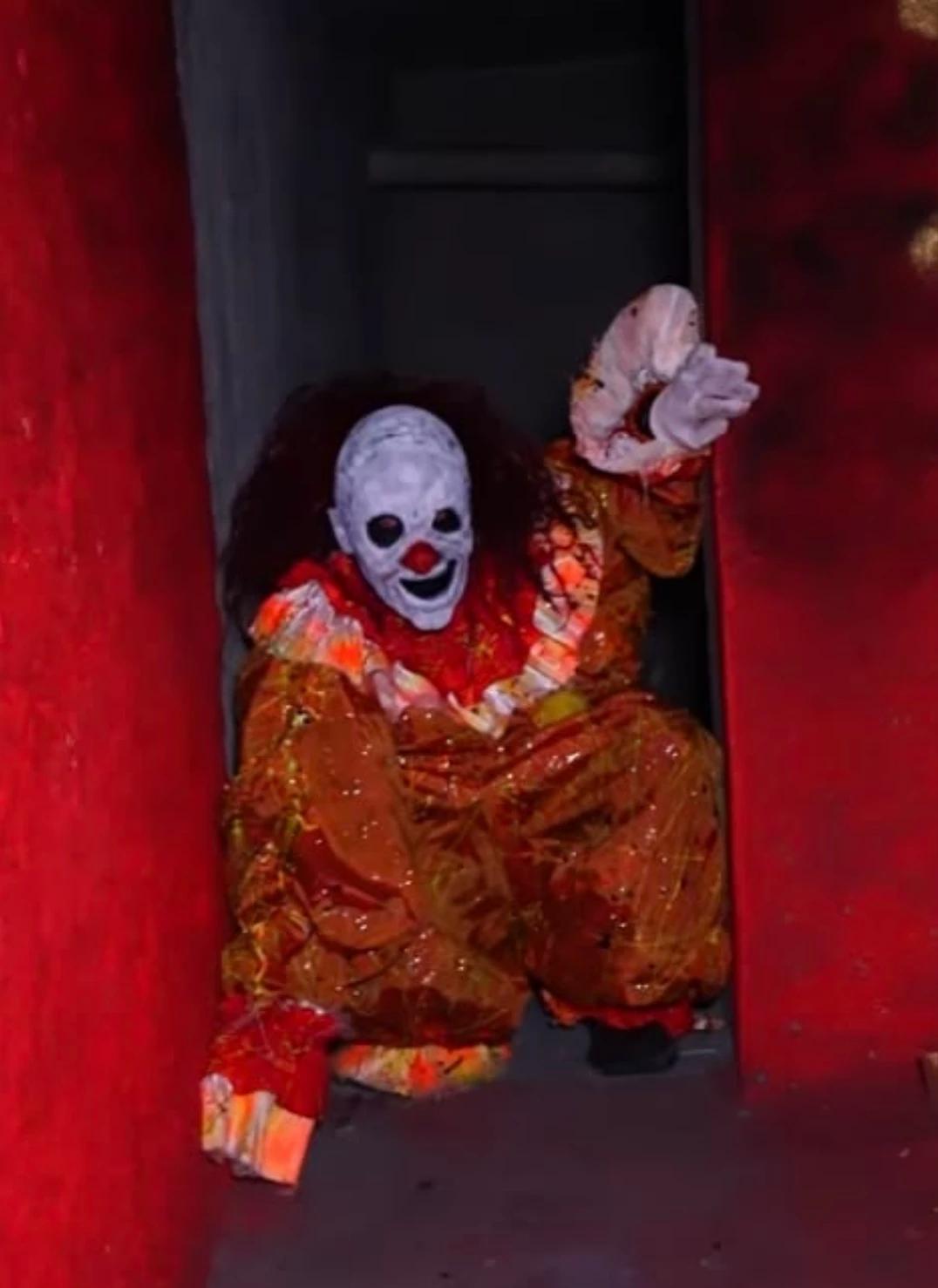 Bufo / the clowns of the deep web thumbnail