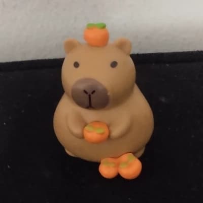 Capy thumbnail
