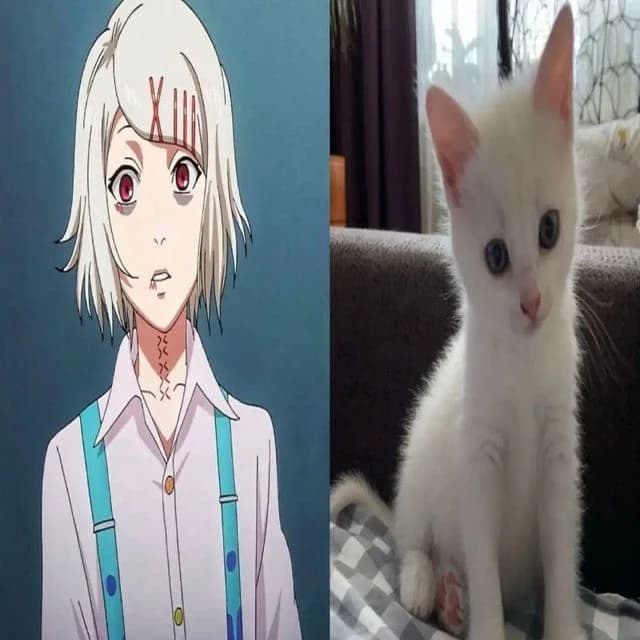 Сузуя джузо thumbnail