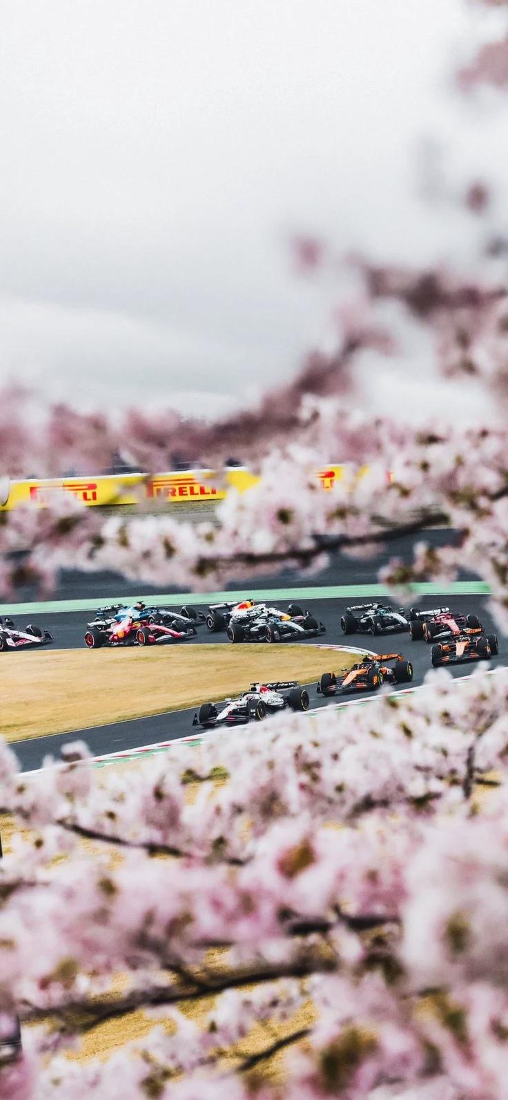 F1 thumbnail