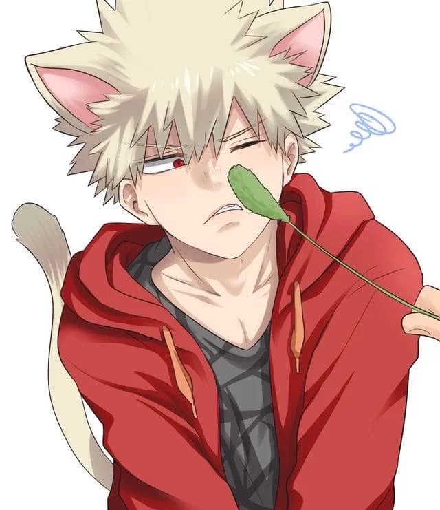 Katsuki Bakugo (DKBK) thumbnail