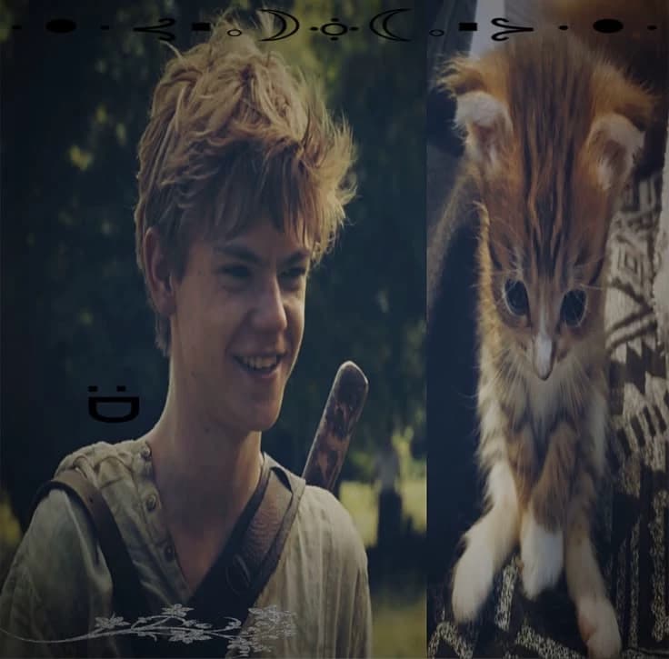 newt thumbnail