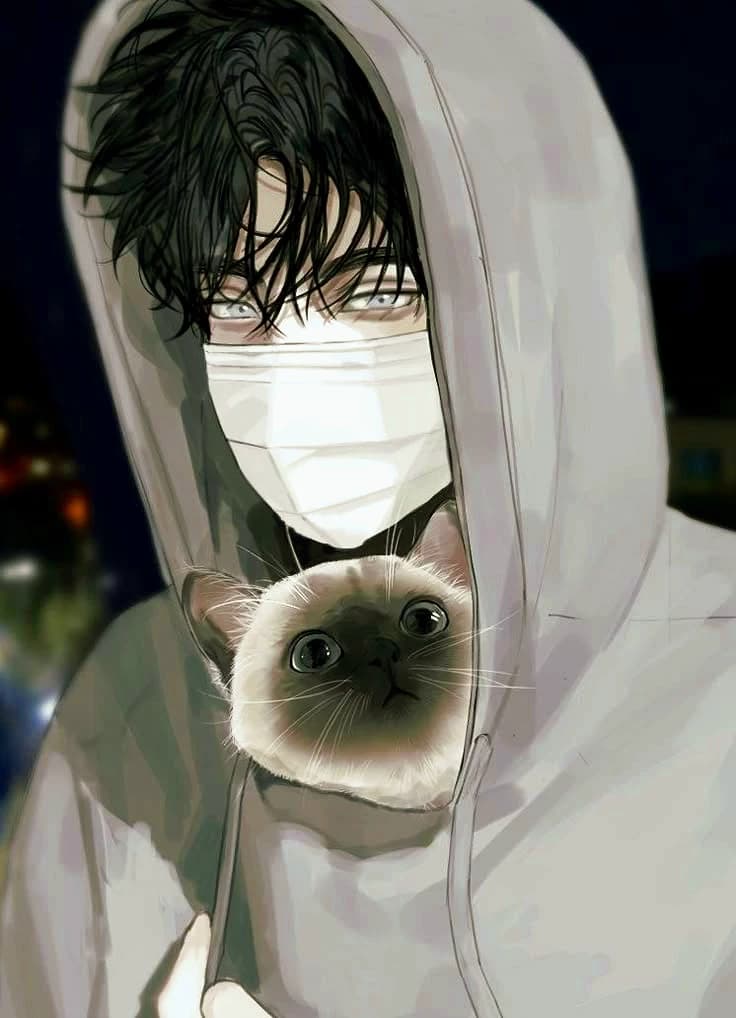 Atlas Atticus thumbnail