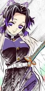 Shinobu cocho  thumbnail