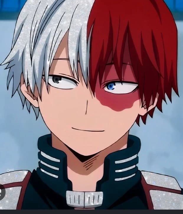 ×•🔥shoto todoroki ❄️•× thumbnail