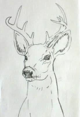 Dark Antlers Tribe thumbnail