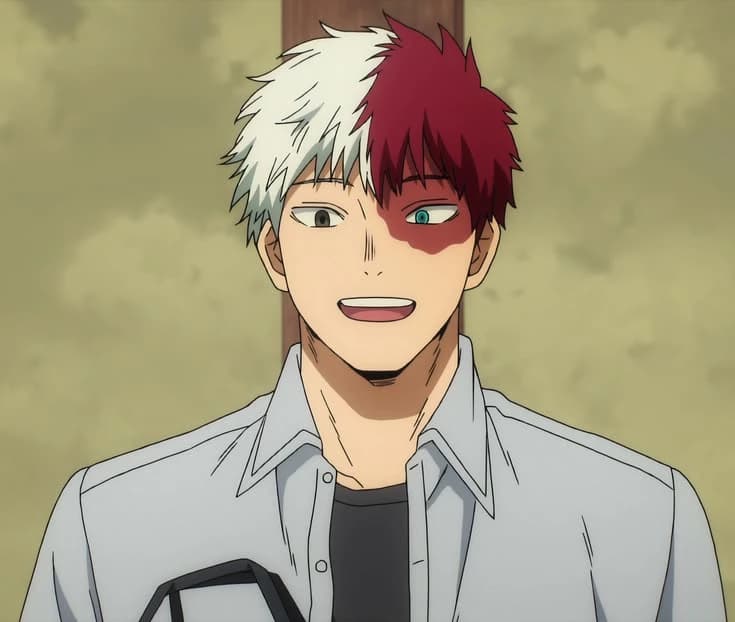 Shoto Todoroki thumbnail