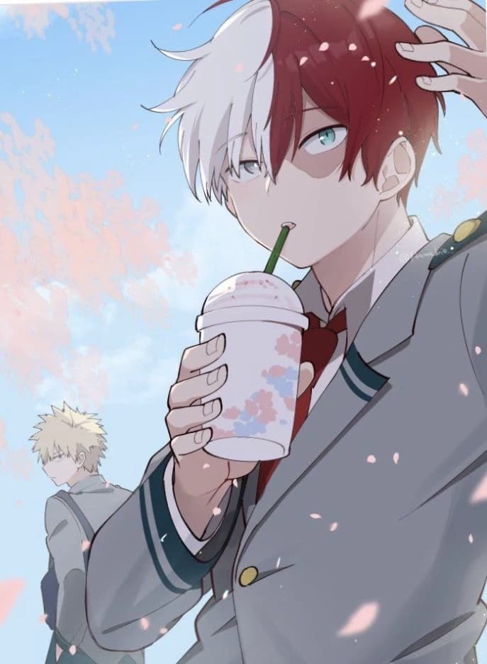 Shoto Todoroki thumbnail