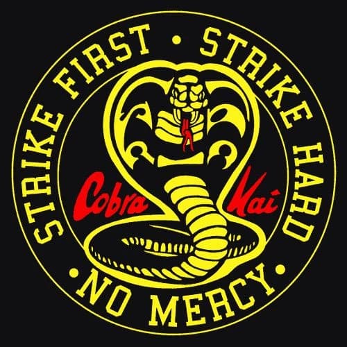 Cobra kai thumbnail