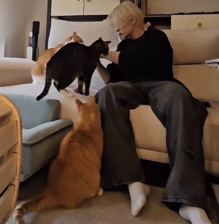 ㅤ۫ㅤ ㅤ۫ㅤㅤ۫ㅤ ㅤ۫ㅤ ✿ ✿ ✿ㅤ۫ㅤ ㅤ۫ㅤ | LEE KNOW :: chat random  thumbnail