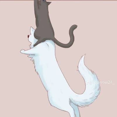 Gojo and geto in cat meo thumbnail