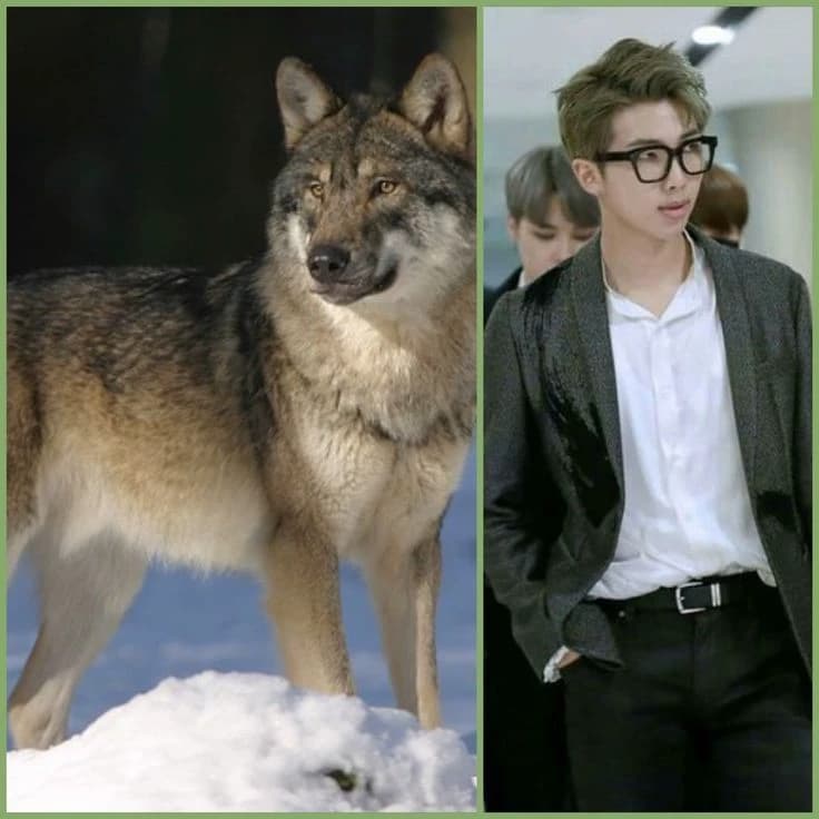 Kim Namjoon thumbnail