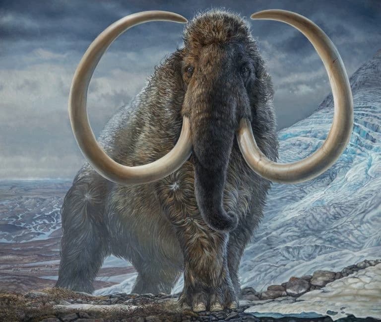Woolly Mammoth thumbnail