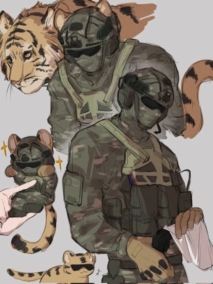 YOU ARE INSPECTING A MILITARY CAMP thumbnail