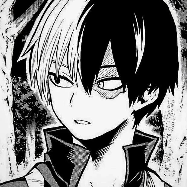 Shoto Todoroki thumbnail