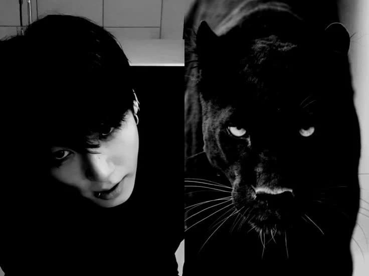 Jungkook thumbnail