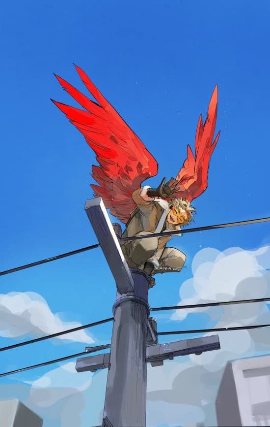 Hawks thumbnail