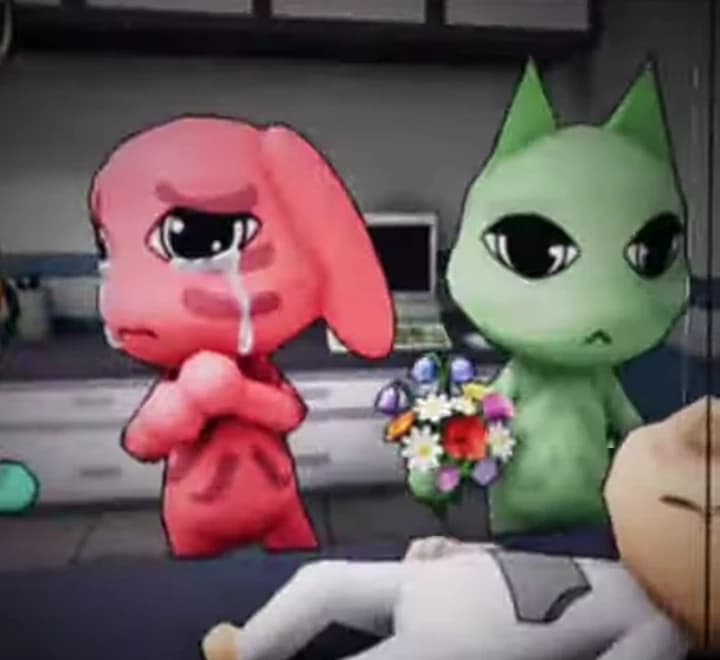 Animal hospital anomaly thumbnail
